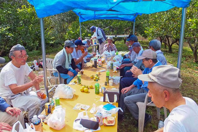ミカン収穫後の昼食